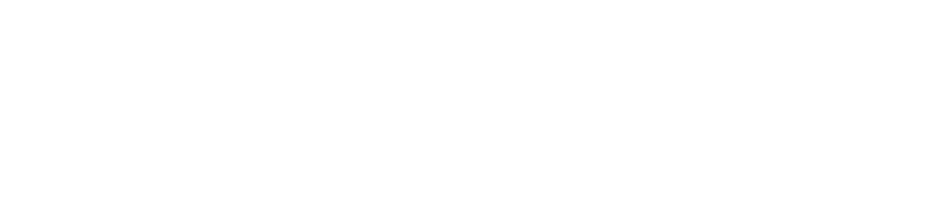 Focusing on Network communication – LAN, WAN, Fibre, Wireless Networking and VoIP. Managed Services – Business Continuity, Monitoring & Project Management.